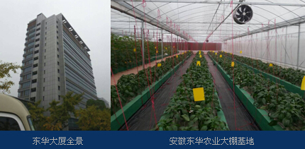 1472451724100546.jpg 2.jpg