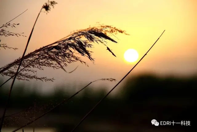 1496418537106974.jpg 无3.webp.jpg