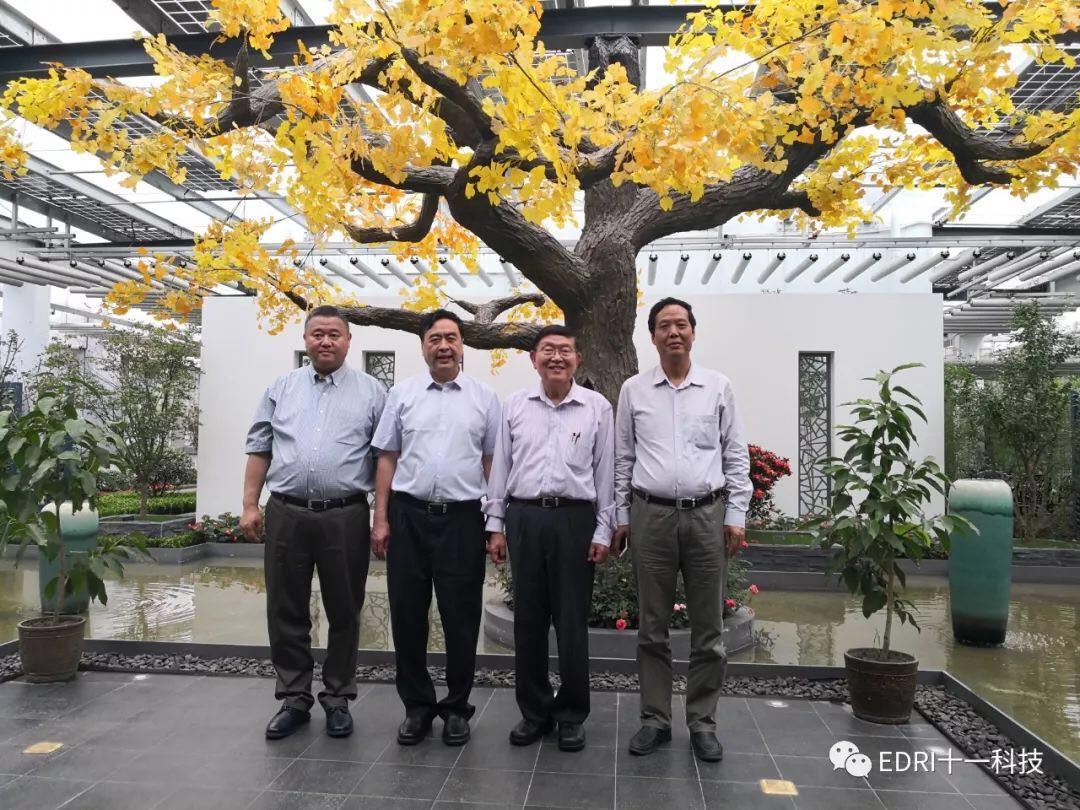 1529910580898649.jpg 27.jpg