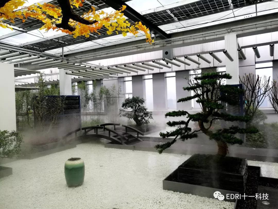 1531710831633717.jpg 66.jpg